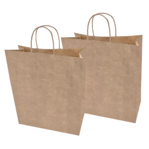 Sacolas Papel Kraft LISA Tam GG 30X19X31 50 Un.