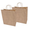 Sacolas Papel Kraft LISA Tam GG 30X19X31 20 Un.